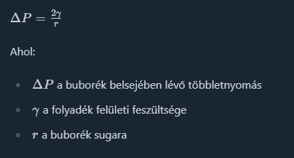 Forrás fogalma A forrás fogalma több területen is jelentőséggel bír. Lehet szó információs, irodalmi vagy természeti forrásról, minden esetben valaminek a kiindulópontját jelöli. Azonosításuk és értelmezésük alapvető tudományos, kutatási és mindennapi tevékenységekben is.